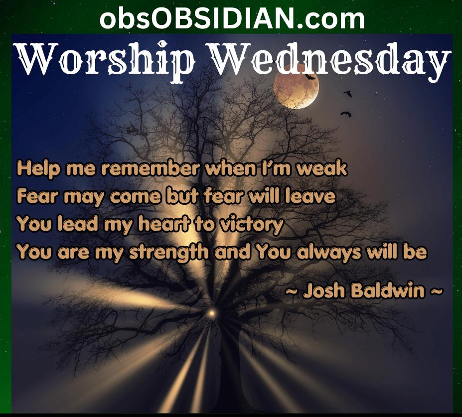 WOW-lead my heart to&nbsp;victory